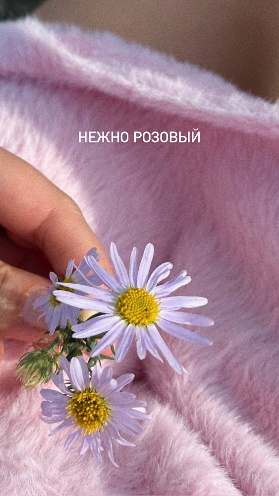 Комплект (шорты\майка) Коачелла 
