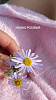 Комплект (шорты\майка) Коачелла 