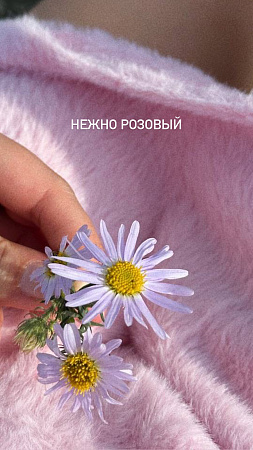 Комплект (шорты\майка) Коачелла 